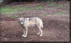 Kroschel Wildlife Park