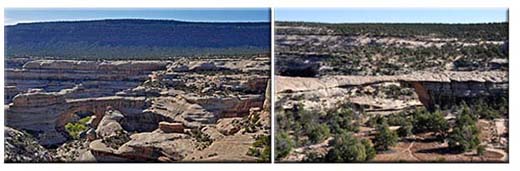 Natural Bridges National Monument